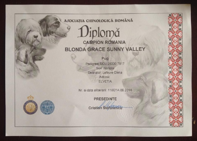 De La Gloire De Febus - BLONDA GRACE SUNNY VALLEY - CHAMPIONNE DE ROUMANIE!!!