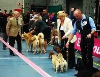 De La Gloire De Febus - 2me BEST IN SHOW COUPLE!!!