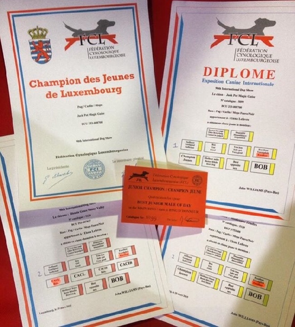 De La Gloire De Febus - JACK POT - JEUNE CHAMPION DE LUXEMBOURG!